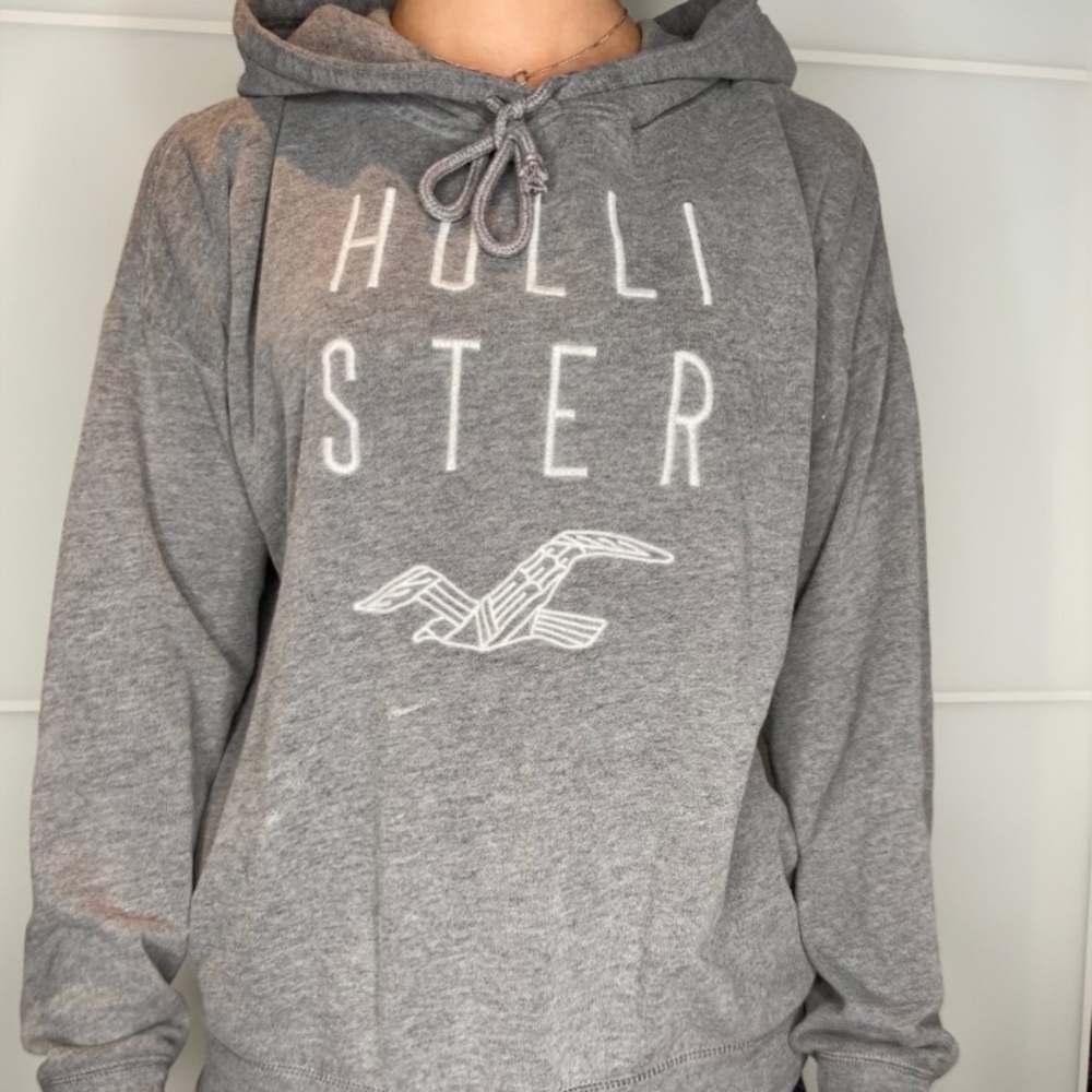 hollister swaeter